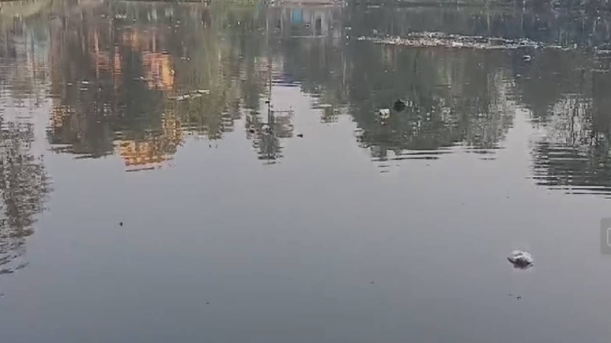 human body parts recover from pond in barasat north 24pargana