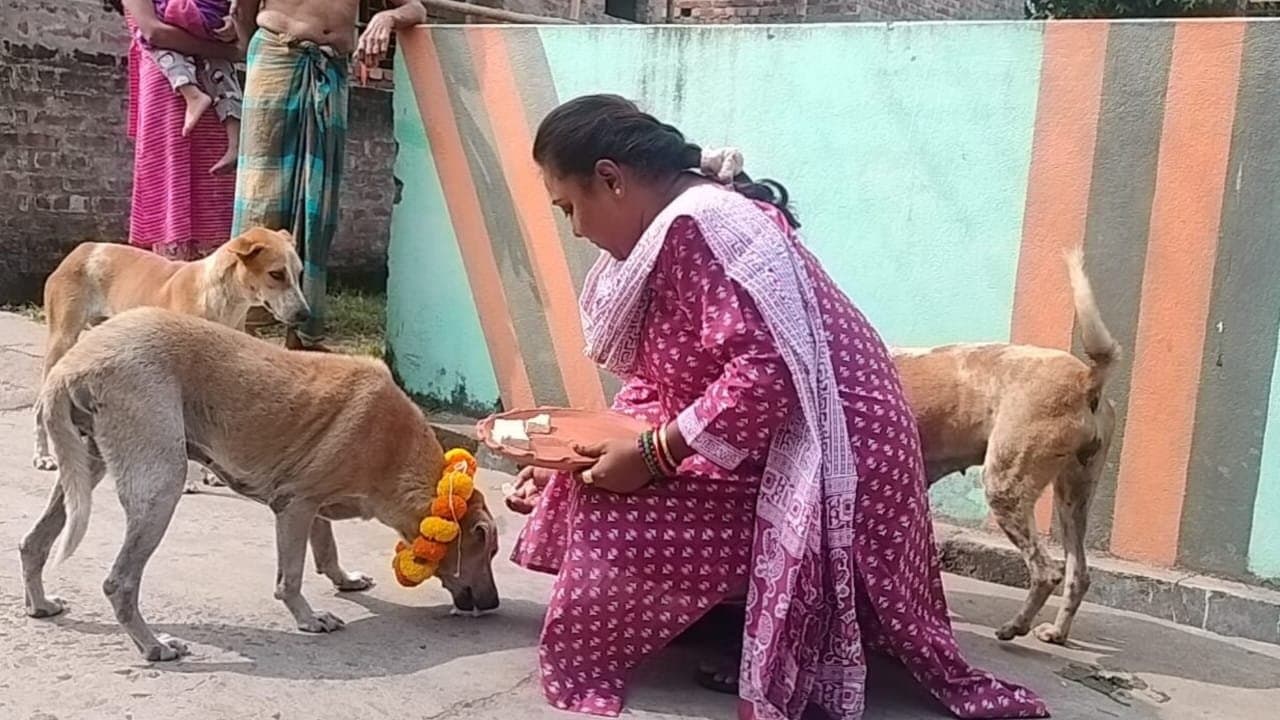 dog festival in chandannagar