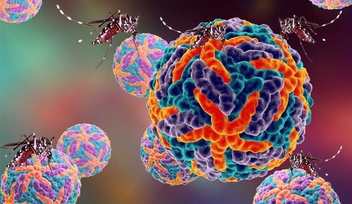 dengue the next pandemic scientists warns of climate change gnr 