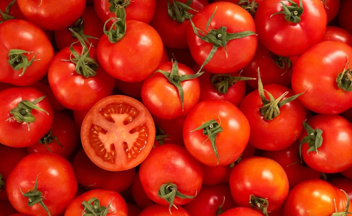 Tomato price low overall gnr 