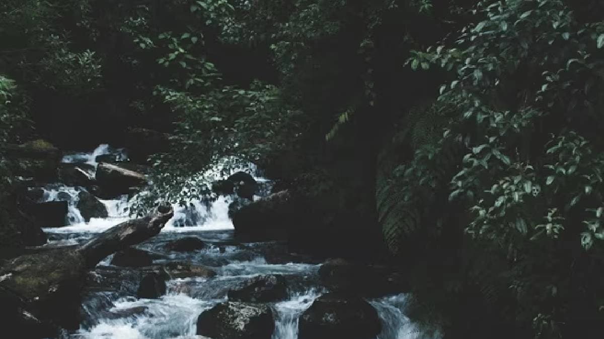 Bihar man found dead day after he drowned in Nepal's Bagmati river
