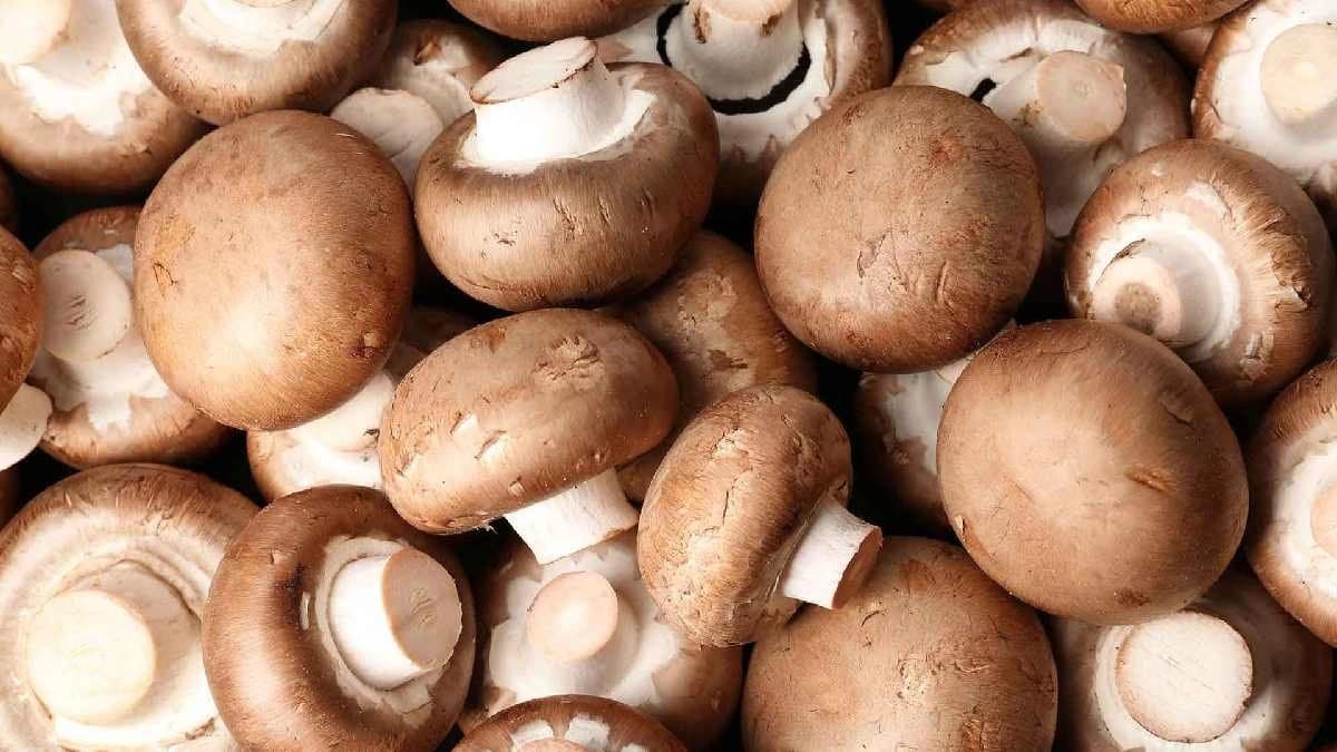 Health benefits of eating Mushroom