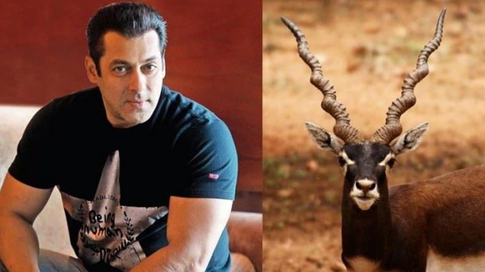 BJP MP asks Salman Khan to apologise for killing cooking and eating blackbucks After Baba Siddique s death ENT