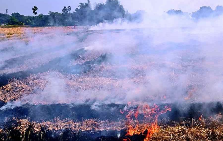 the state government is bringing a machine to make fuel without burning the roots of crops