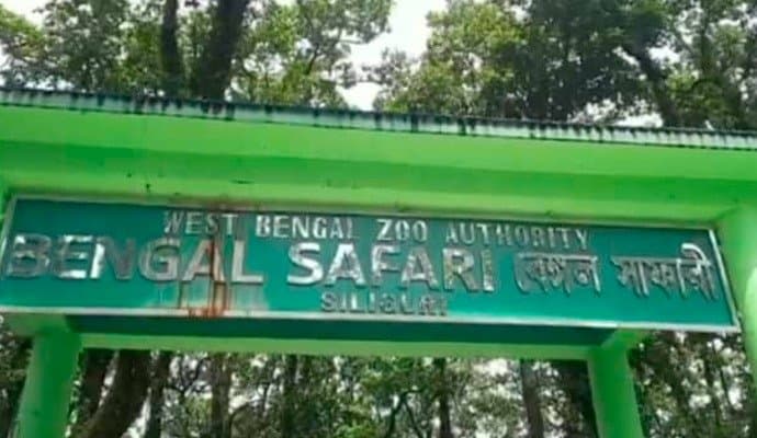Lions from Tripura at bengal safari park