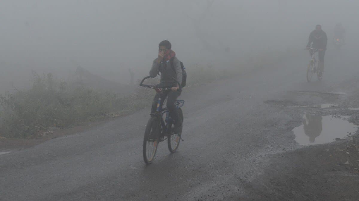 IMD Weather Update: Dense fog warning, clod wave to continue in several parts of India gnr