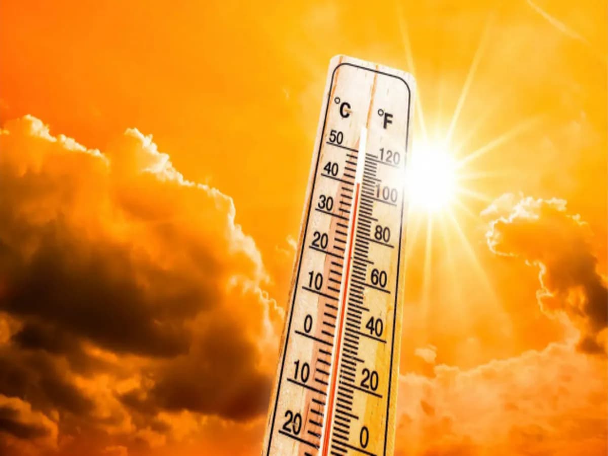 Nagpur boiling at 56 degrees, IMD issues heat scare