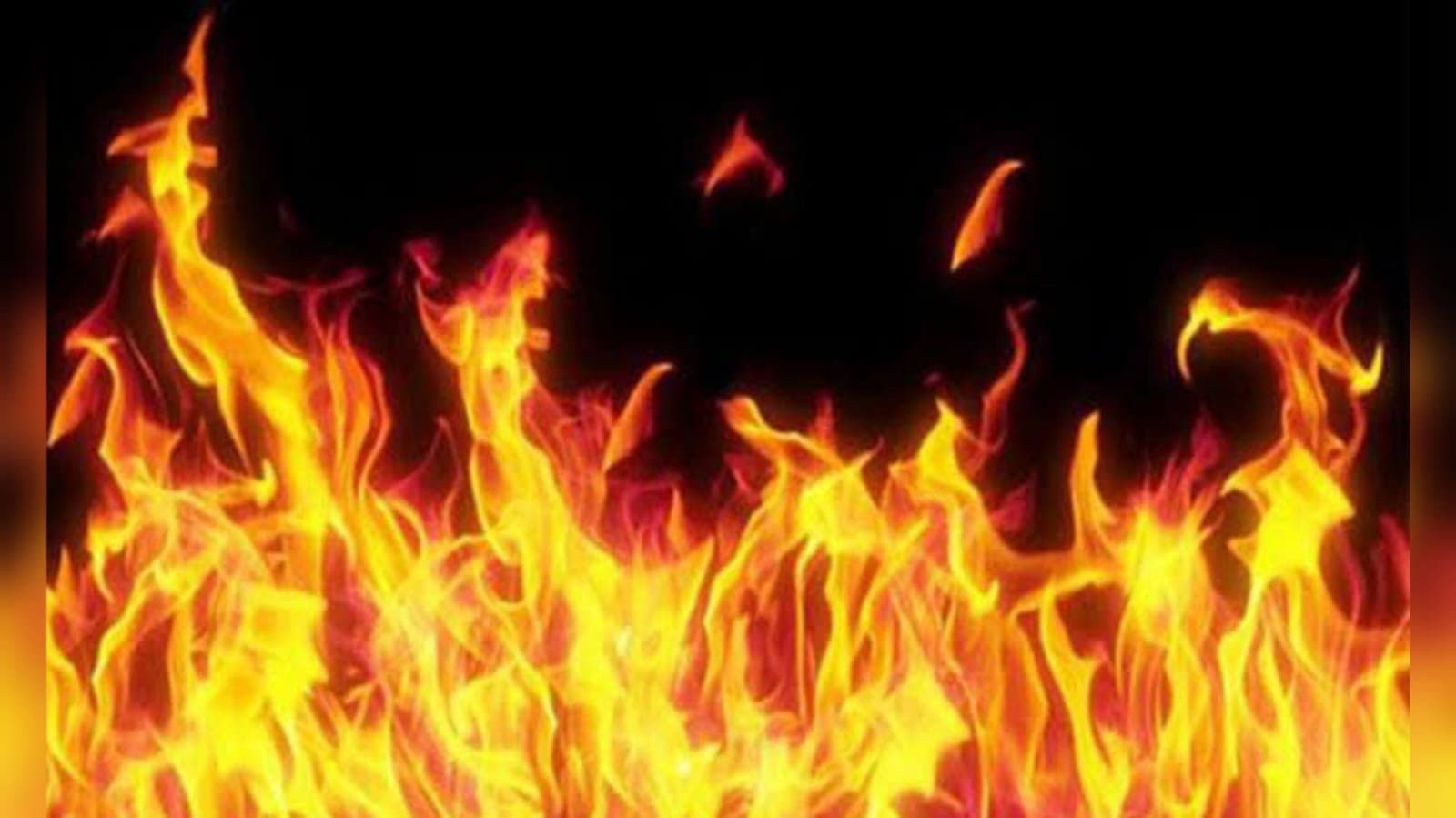 A old lady burnt to death in north 24 pargana_gnr