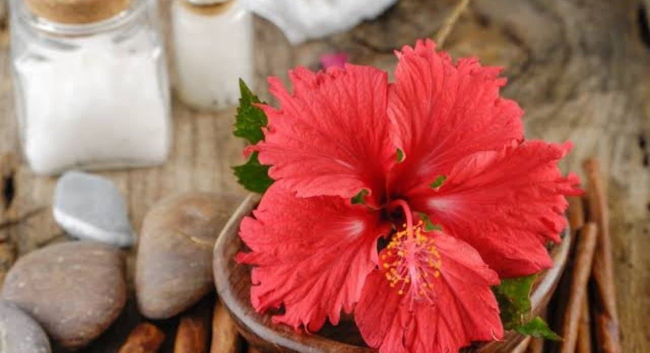This homemade night cream made with hibiscus flower helps to tighten and glow skin lif