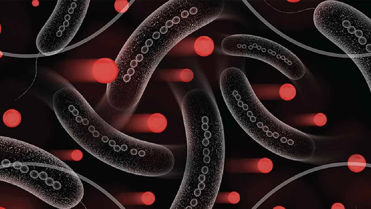 Congo has been declared a new Ebola outbreak in Kasai Province