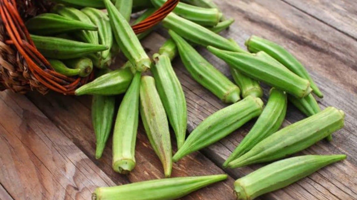 Okra Side Effects ladyfinger can be harmful if you have these health problems