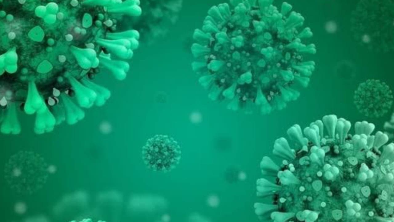 new covid patients are in state