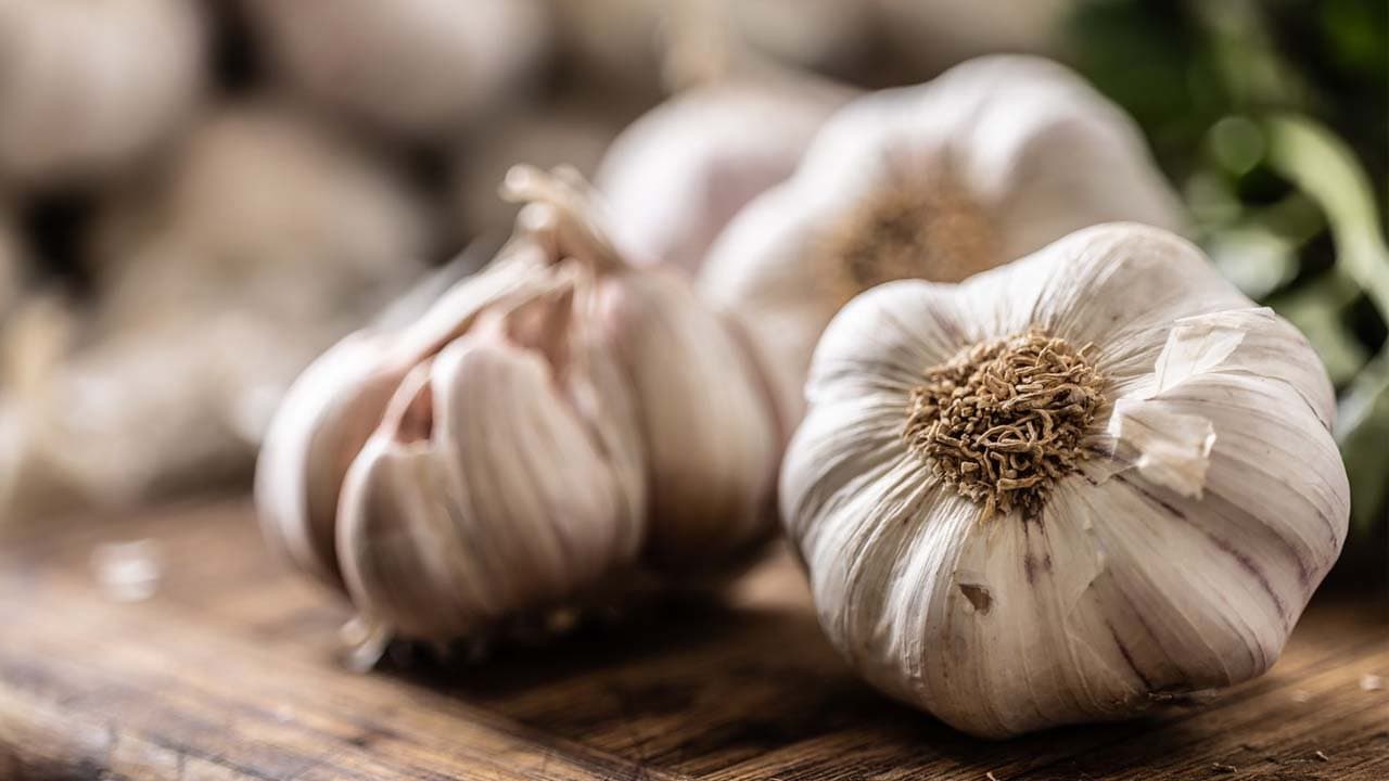 Self-reliance will come Hooghly shows the way in cultivating new varieties of garlic