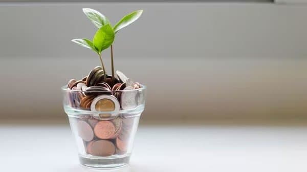 Mutual funds investment makes you grow gnr 