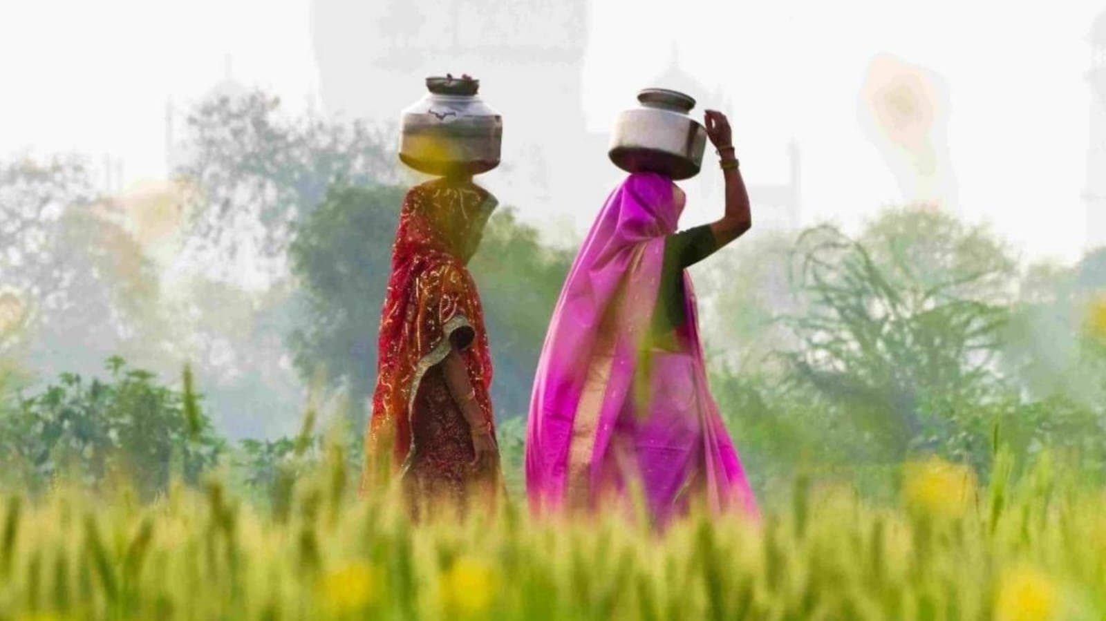 Petticoat Cancer from wearing saree and lehenga_gnr