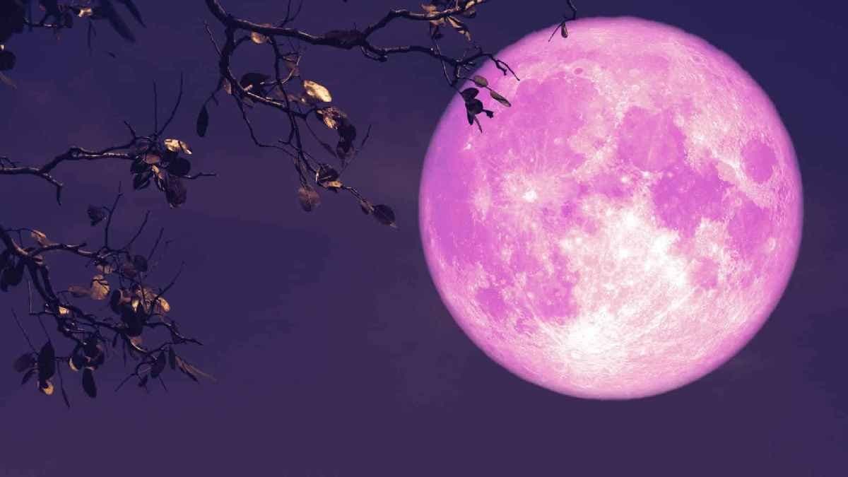 Pink Moon 2025: Date time and how to watch this