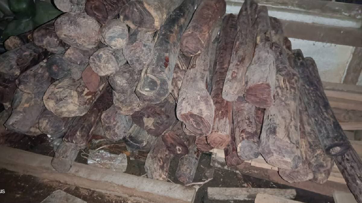 Real life pushpa of dooars sentenced to jail gnr