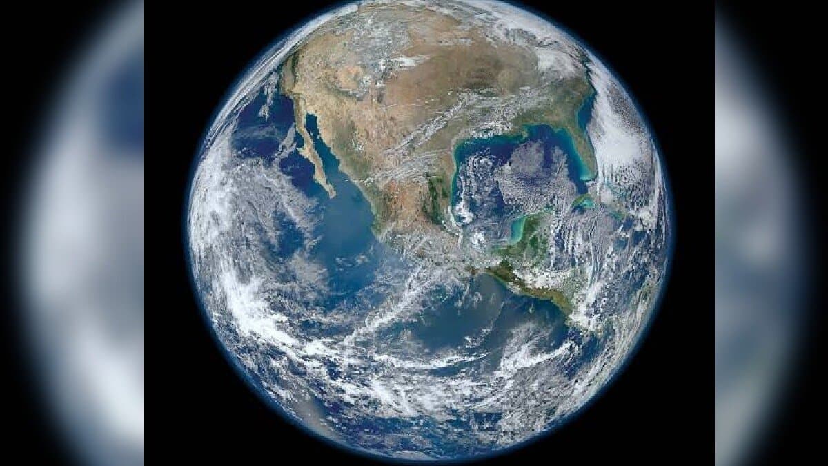 After human die, this creatures will rule World what says scientist