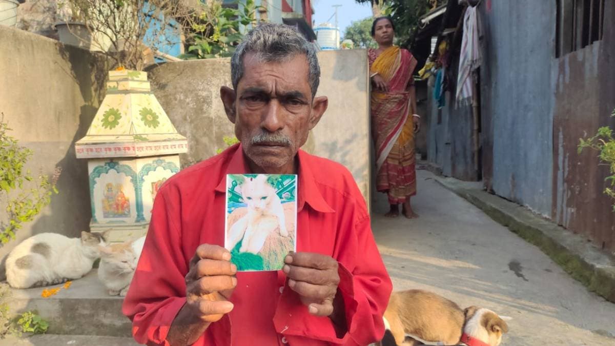 Person announced rewards for his missing cat gnr