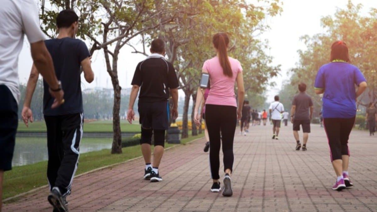 What is the best time to go for a Morning Walk