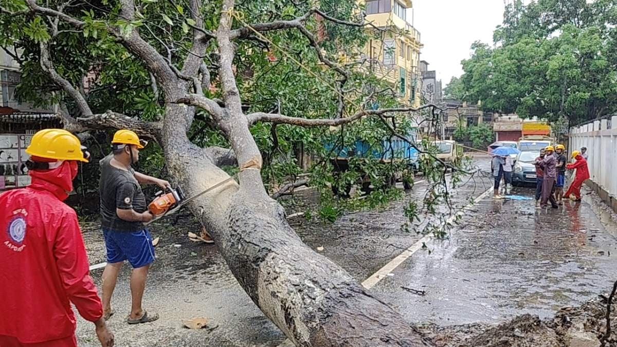 Tripura Rains Havoc: Roads Damaged and Flooding Reported