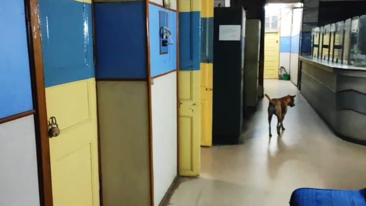 Chinsurah Municipality Office situation grab attention 