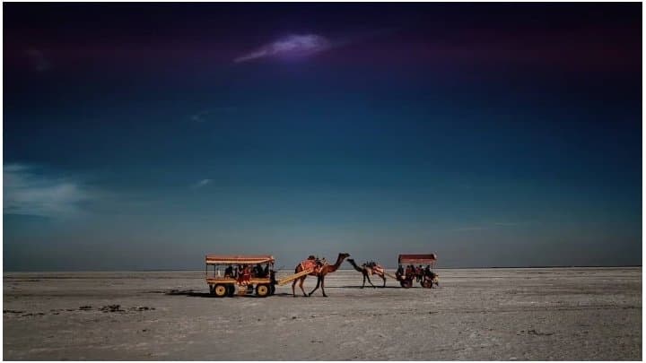 Rann Utsav: ১ নভেম্বর থেকে শুরু হবে গুজরাটের রণ উৎসব! কোথায় থাকবেন? কী কী দেখবেন? 
