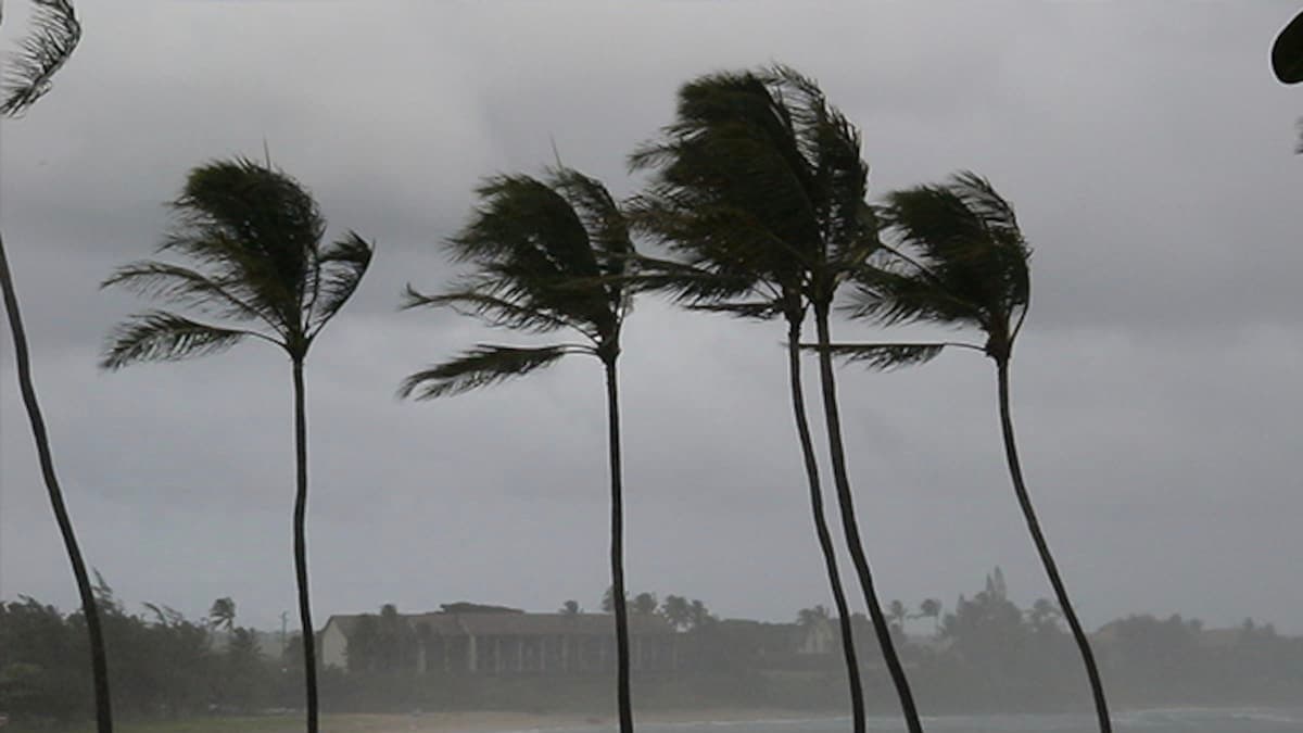 IMD Weather Update Heavy Rainfall Thunderstorm warning in South Bengal gnr 
