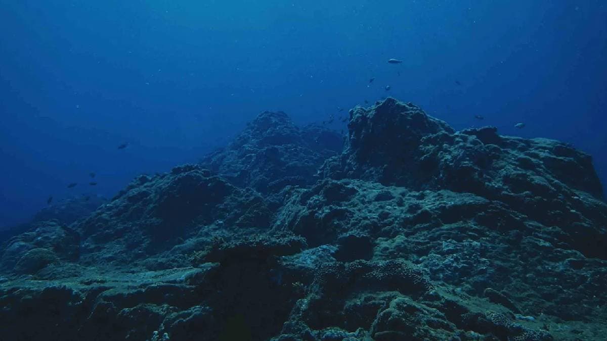 Mysterious Submerged Lost World Discovered Beneath the Pacific Ocean  gnr