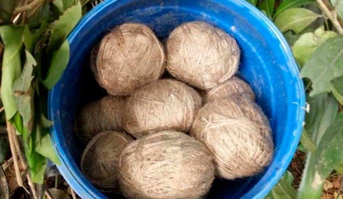 bombs found at bhangar