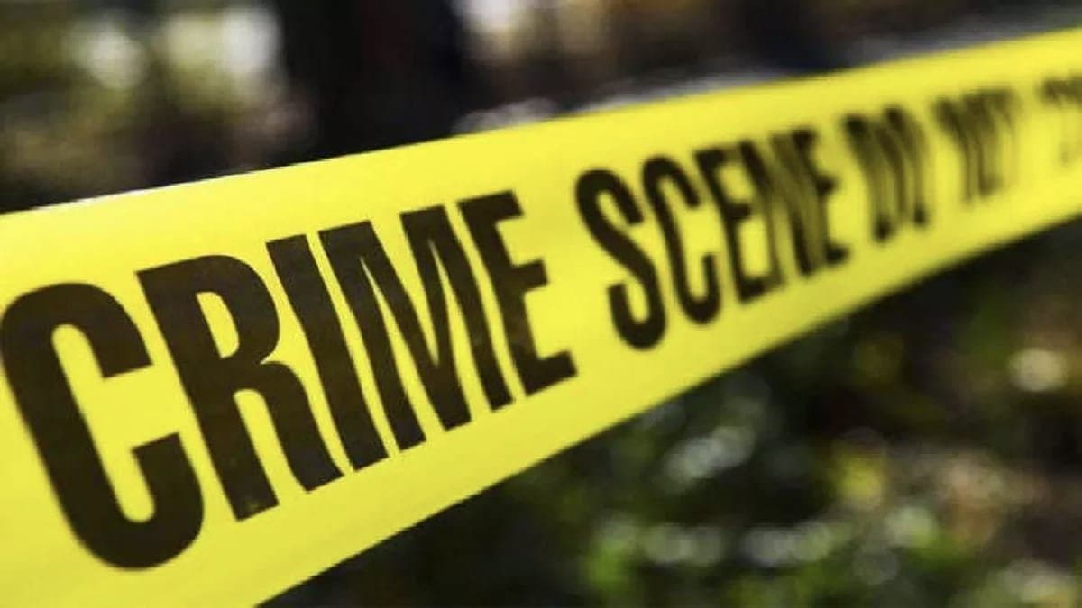 Man Stabs Partner In Public in Delhi Road Then Tries to Kill Himself