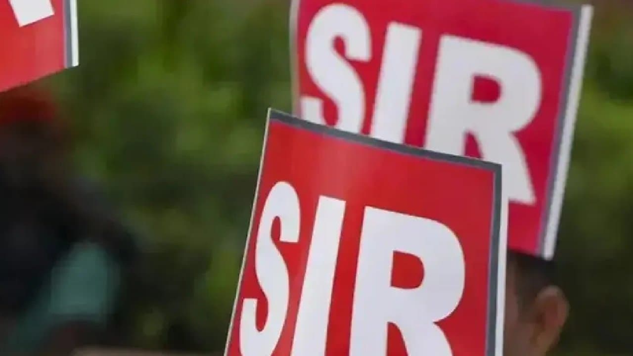 SIR  In West Benagl enumeration-form-distribution situation in bengal