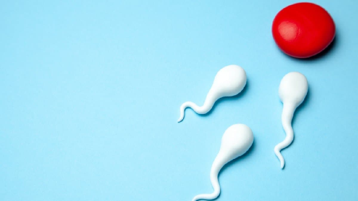 Three daily practices can boost increasing seed density in men