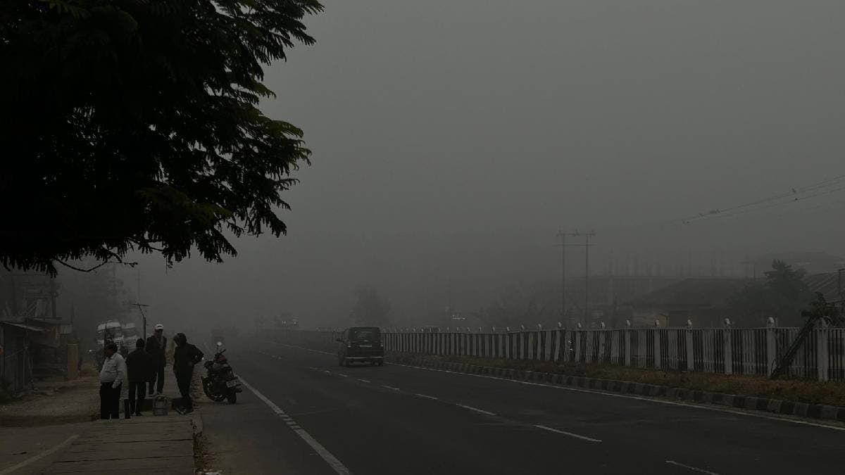 Foggy weather in North Bengal with biting cold gnr