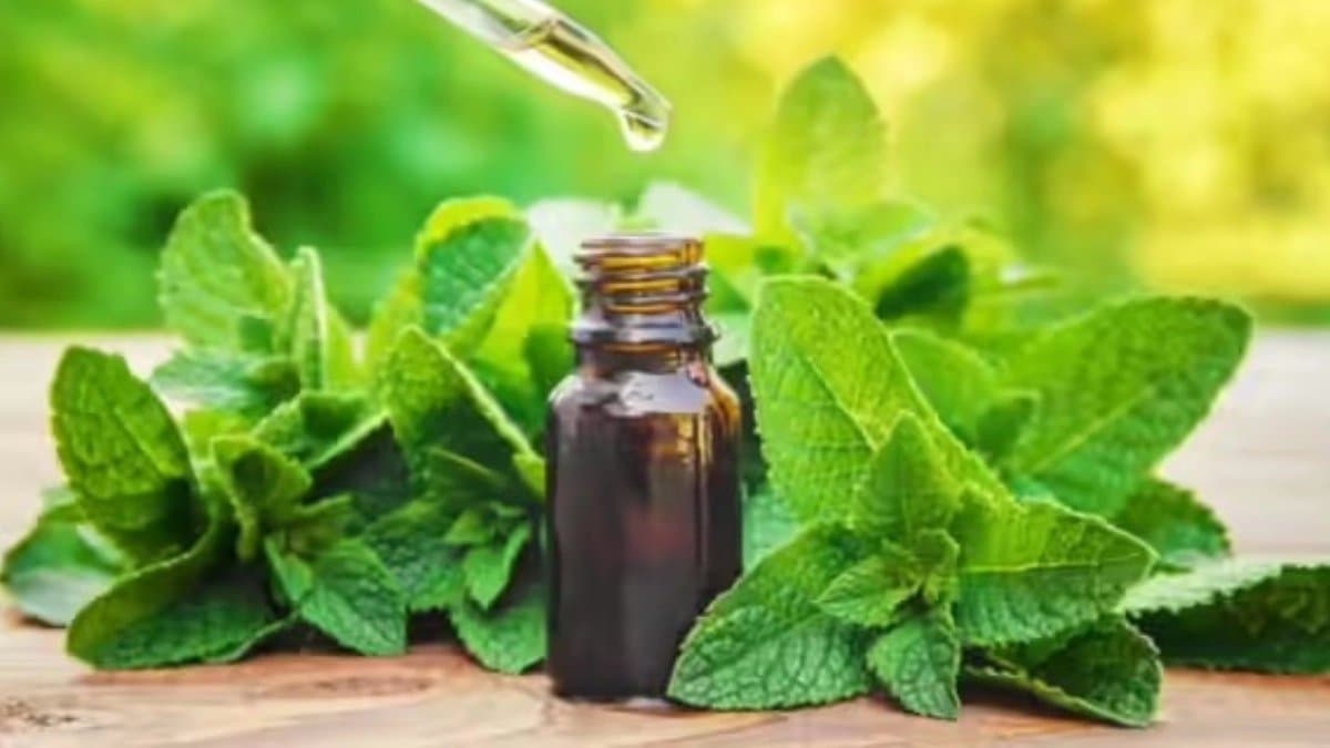 How to use pudina leaves in skin and hair care 