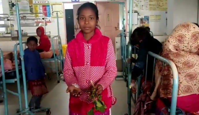 eat poisonous fruit, 11 child hospitalised