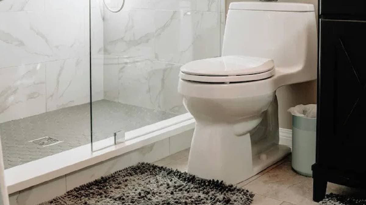 Doctors Urge Limiting Toilet Time To Avoid Health Risks gnr