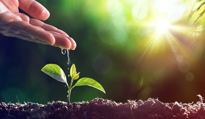 World Environment Day: Combating excess heat stress holds urgency for safe future