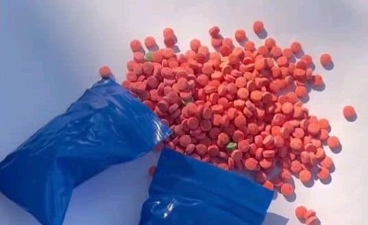 Drugs of Rs 5 crore seized in Tripura