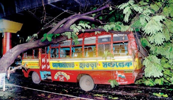 trees are falling in Kolkata due to strong winds