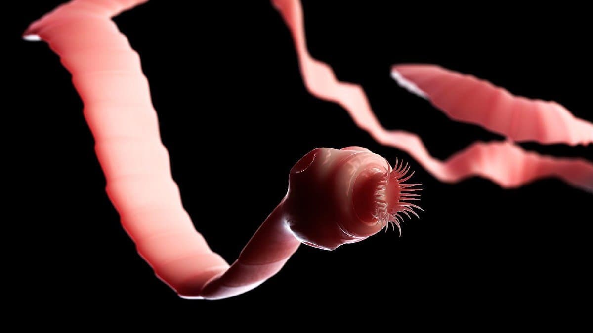 Bizarre Monkey tapeworm found in Sri Lankan boy