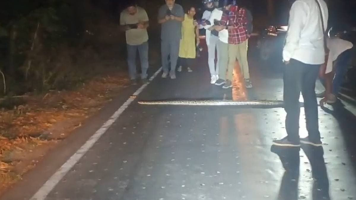 Environmentalists Outraged Over Baxa Tiger Reserve Incident