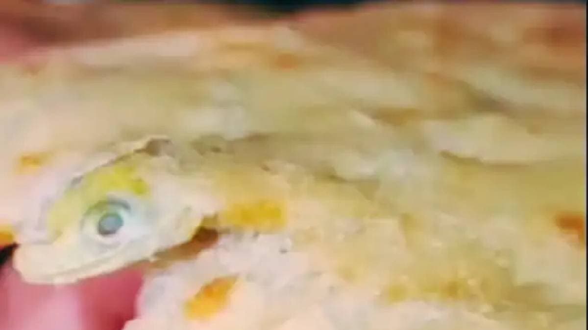 Another Dhaba food incident shocked everyone