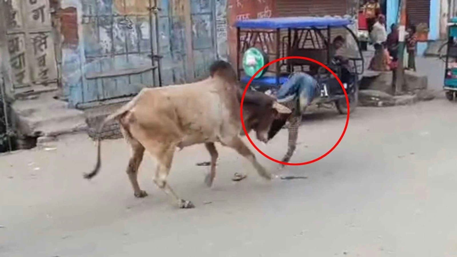 Stray Bull Injures 15 In Uttar Pradesh, Gets Caught After 3 Hour Chase gnr 
