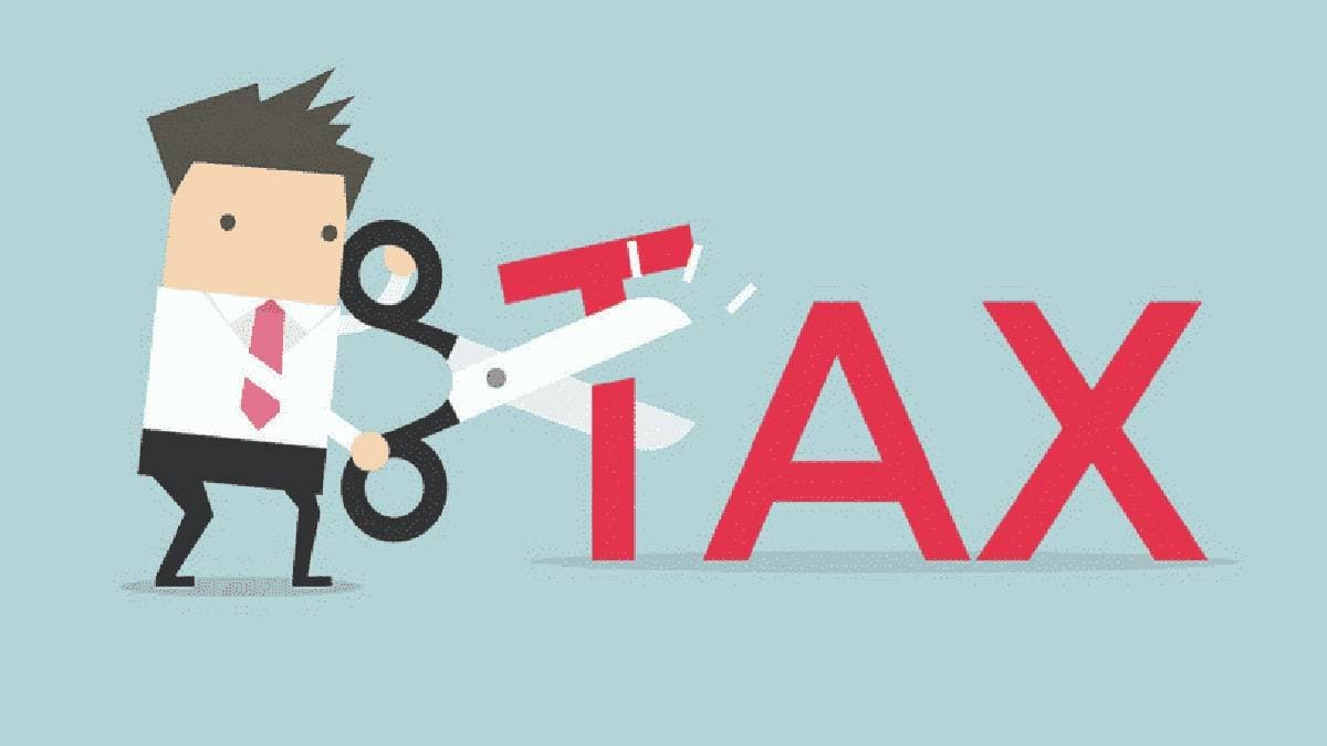 Five best small savings schemes for section 80C benefits check the list