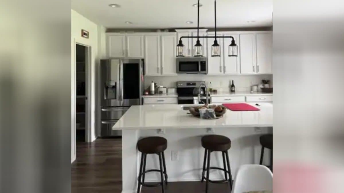 Optical Illusion: find the cat hidden in the image