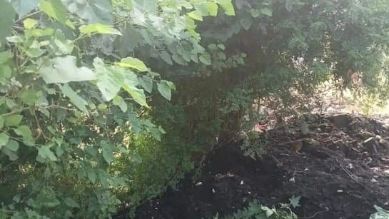 Man Buried Alive As Workers Dump Sludge On Him In Uttarpradesh