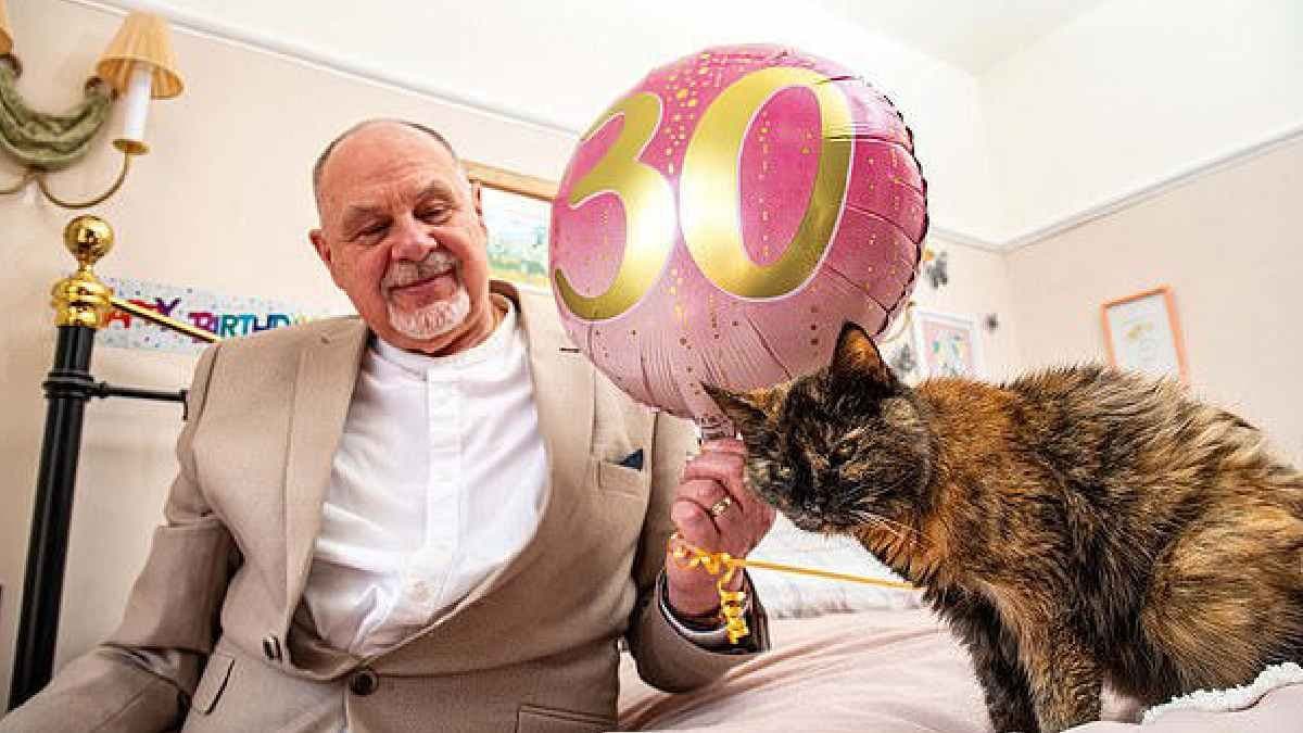 Worlds oldest Cat celebrates her 30 Birthday and create Guinness World Records 