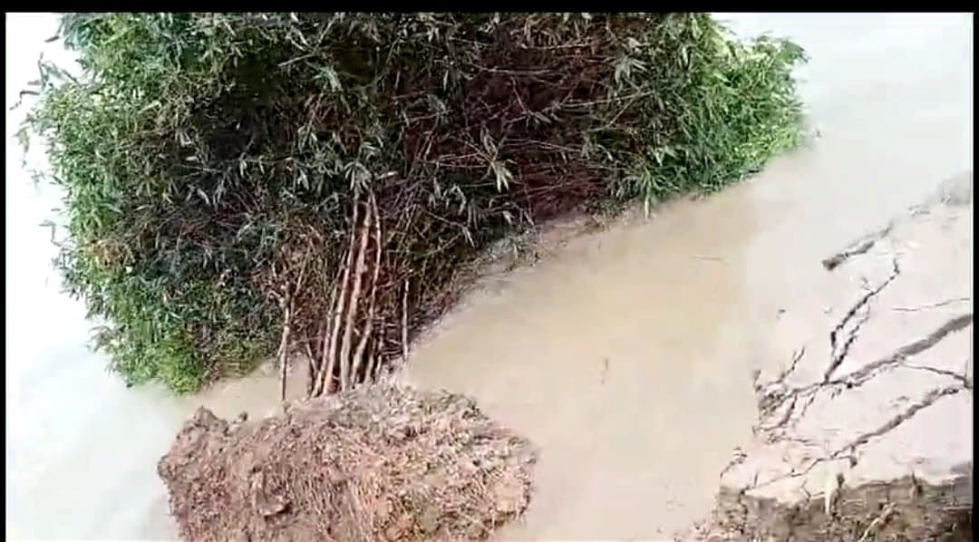 River erosion has started in Samserganj, the land is sinking