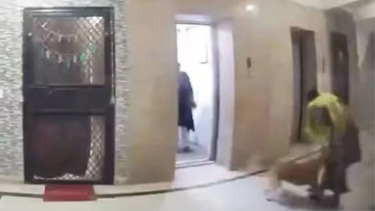 Woman Injured After Pet Dog Attacks Her In Ghaziabad Society